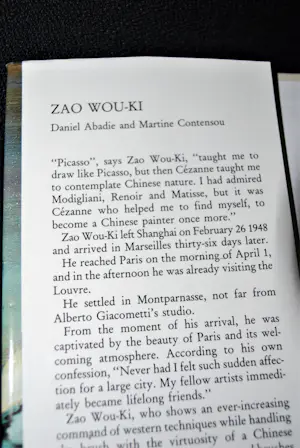 Zao Wou-Ki - Nam June Paik - Ai Wei Wei: 4 boeken Chinese kunst kopen? Bied vanaf 60!