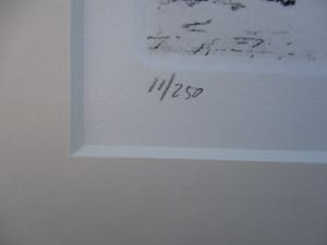 Anna Doedijns - Den Bosch kopen? Bied vanaf 35!