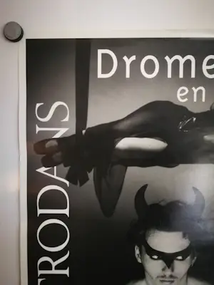 Erwin Olaf - Affiche Introdans. Satyr. kopen? Bied vanaf 79!