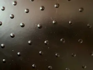 Ossip - Vrouw kopen? Bied vanaf 500!