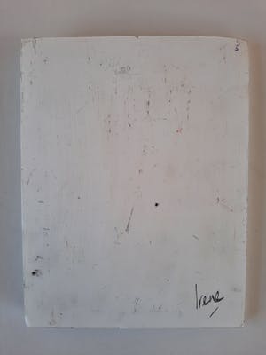 Irene van den Bos - Face 3 kopen? Bied vanaf 1!