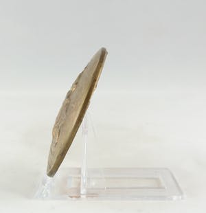 Guus Hellegers - Bronzen penning, Naaktstrand kopen? Bied vanaf 70!