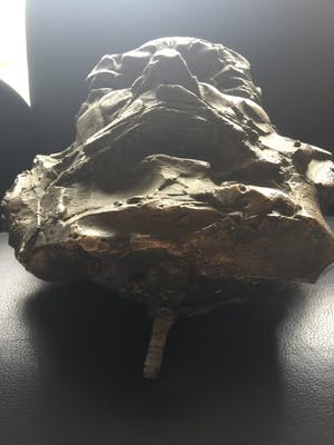 Kees Verkade - kapitale buste van Willem Steijn kopen? Bied vanaf 4750!