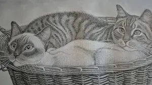 Ella van Schaik - Aardappelmand kopen? Bied vanaf 40!