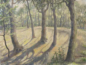 Lucas Bauer - Olieverf op doek, Bosgezicht kopen? Bied vanaf 1!