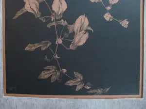 Anton Pieck - Passiebloemen kopen? Bied vanaf 75!