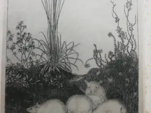 Jan Mankes - Witte muizen. Heliogravure. kopen? Bied vanaf 1!