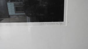 Bert Vredegoor - zie de zon kopen? Bied vanaf 10!