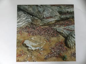 Niet of onleesbaar gesigneerd - “ de tentoonstelling” kopen? Bied vanaf 1!