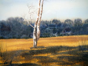 Niet of onleesbaar gesigneerd - Berkenboom in heidelandschap -aquarel- kopen? Bied vanaf 1!