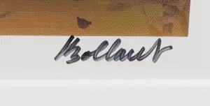 Jan Bollaert - Lambdaprint, Caution Art - Ingelijst kopen? Bied vanaf 50!