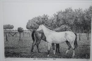 Wim van der Meij - 2 paarden, 1991 - ets kopen? Bied vanaf 10!