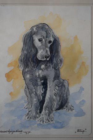 Kees Heynsius - Aquarel - "Flip" kopen? Bied vanaf 75!
