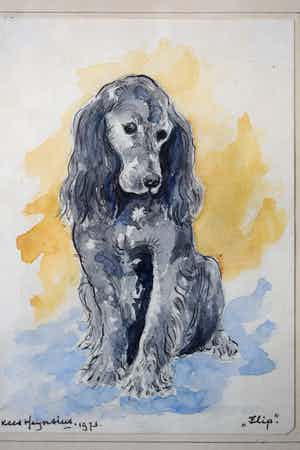Kees Heynsius - Aquarel - "Flip" verkocht voor € 75!