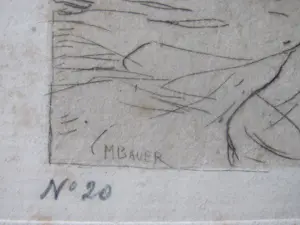 Marius Bauer - Skutari Moskee kopen? Bied vanaf 50!