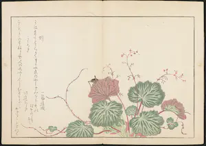 Kitagawa Utamaro - Houtdruk, Worm en krekel op kruipende steenbreek kopen? Bied vanaf 35!