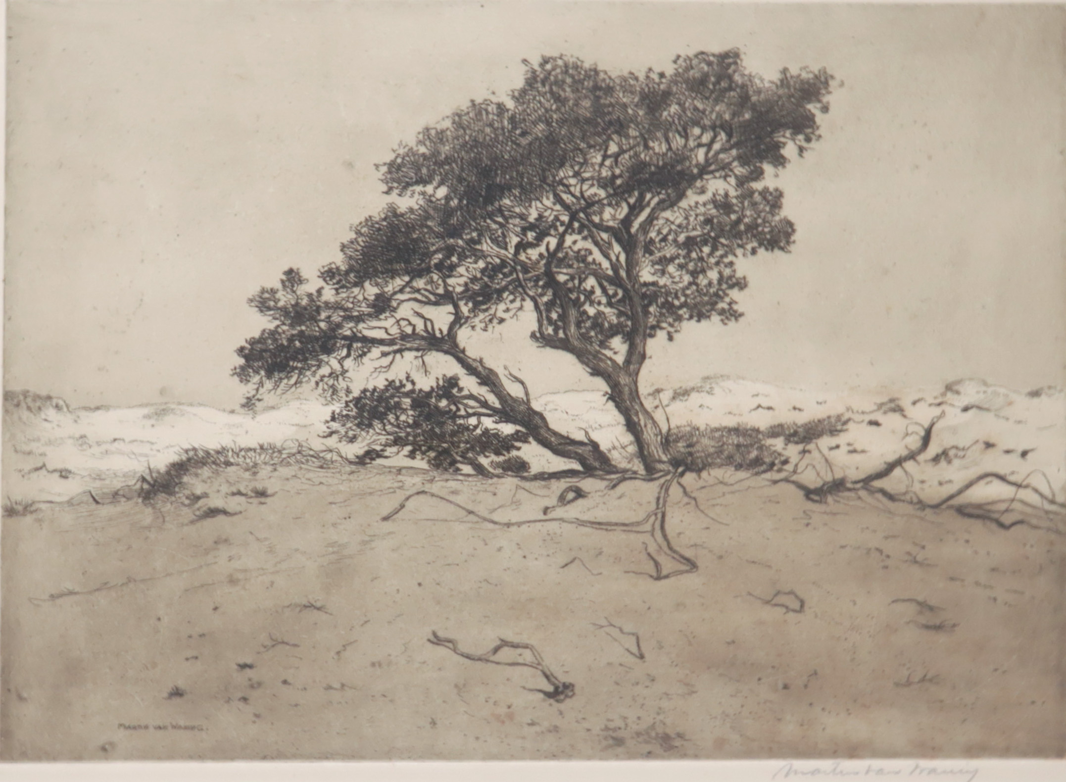 Martin van Waning - Ets, Boom in landschap verkocht voor € 20!