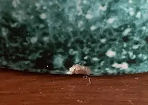 Guido Gambone - Vintage Kunstaardewerken vaasje model 14/478 uitgevoerd voor de Bijenkorf kopen? Bied vanaf 45!