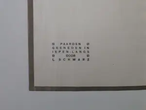 Mommie Schwarz - Paarden kopen? Bied vanaf 20!