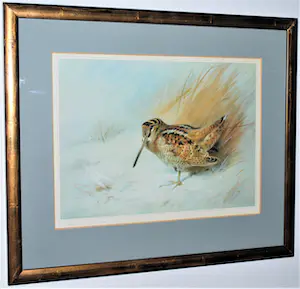 Archibald Thorburn - Houtsnip in de winter - oplage 159/500 - fraai ingelijst - incl. boek! kopen? Bied vanaf 50!