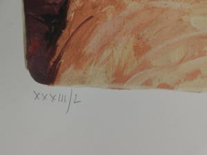 Bernard Charoy - La robe rouge kopen? Bied vanaf 25!