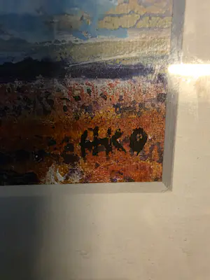 Harm Kamerlingh Onnes - Dorp kopen? Bied vanaf 350!
