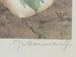 Jan Voerman (jr.) - Bosanemoontjes - Kleurenlitho kopen? Bied vanaf 60!