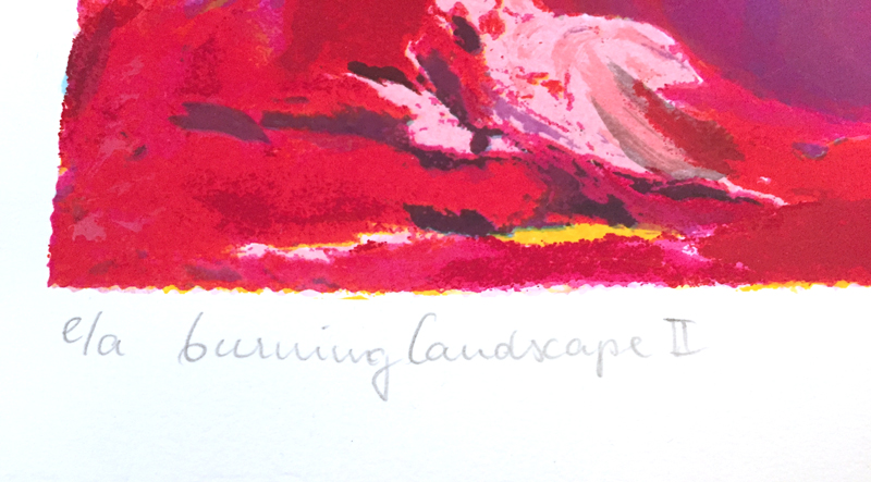 Marion Bakker - Burning landscape II kopen? Bied vanaf 55!