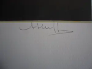 Herman Heuff - Litho. titel. "LES FLEURS MAGNIFIQUE ". kopen? Bied vanaf 35!