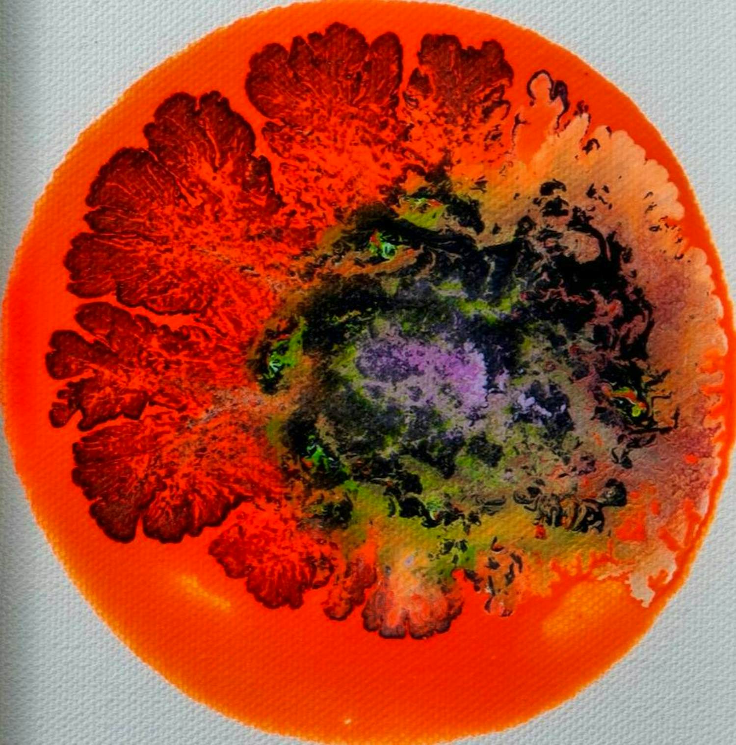 Seet van Hout - Gemengde techniek: Compositie 'Blumenzucht' - 2017 verkocht voor € 175!