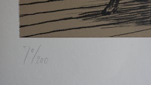 Hewald Jongenelis - Zwijn in Huiskamer kopen? Bied vanaf 49!