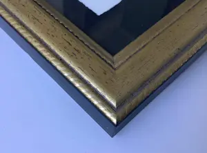 Corneille - Vuurvogel kopen? Bied vanaf 150!