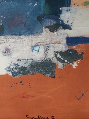 Ron van der Werf - Symfonie II kopen? Bied vanaf 180!