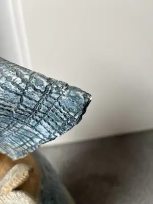 Ivet Thunnissen - Vrouw met vissen kopen? Bied vanaf 350!