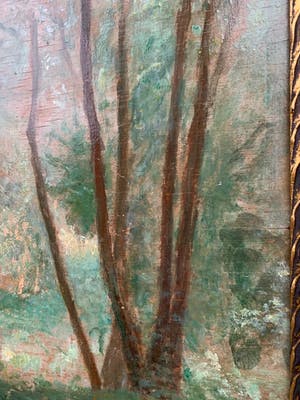 Xavier De Cock - Boszicht / Sous-bois kopen? Bied vanaf 69!