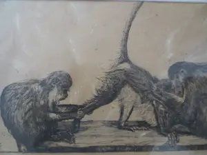 Dirk Homberg - 2x Langoeren Java en Oud Batavia kopen? Bied vanaf 250!