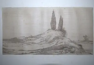 Niet of onleesbaar gesigneerd - jeneverbessen in duinlandschap - fraai uitgewerkte ets ca. 1900 kopen? Bied vanaf 1!