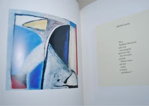 Doris Groeneveld - olieverf op doek - Nieuw Zeeland 2000 - incl kunstboek kopen? Bied vanaf 160!