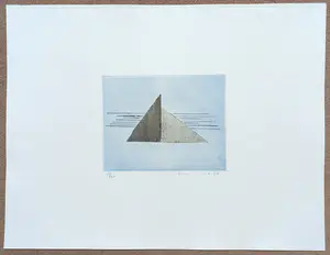 Jan Montyn - Shadow, aquatint ets kopen? Bied vanaf 100!