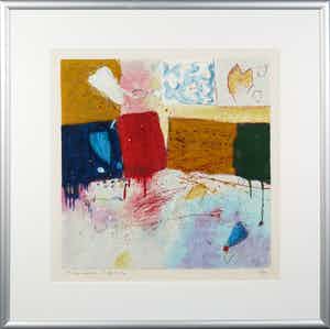 Alexander Vogels - Zeefdruk, Evolutions V - Ingelijst verkocht voor € 35!