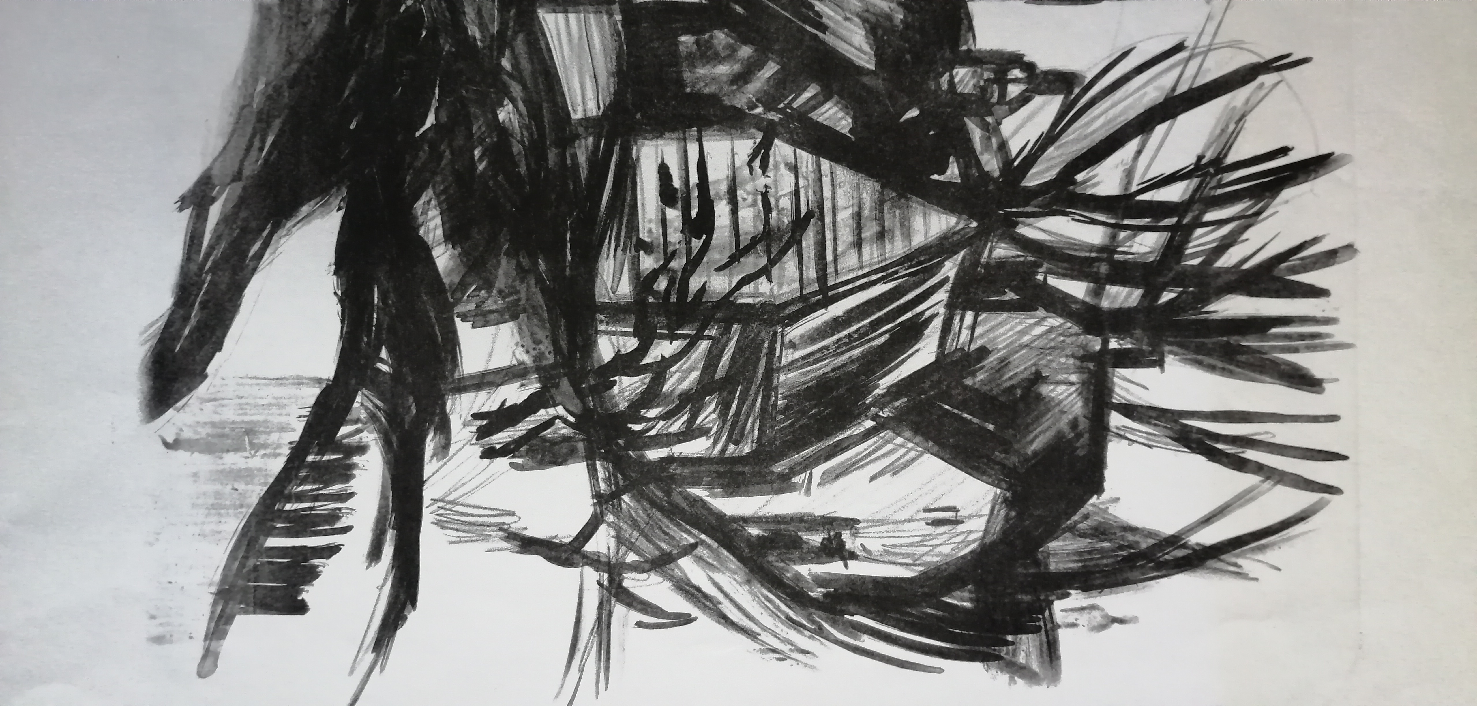 Jan Sierhuis - Boerderij kopen? Bied vanaf 45!