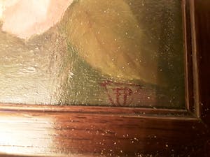 Jan Pzn. Franken - Romantische bloemen kopen? Bied vanaf 40!