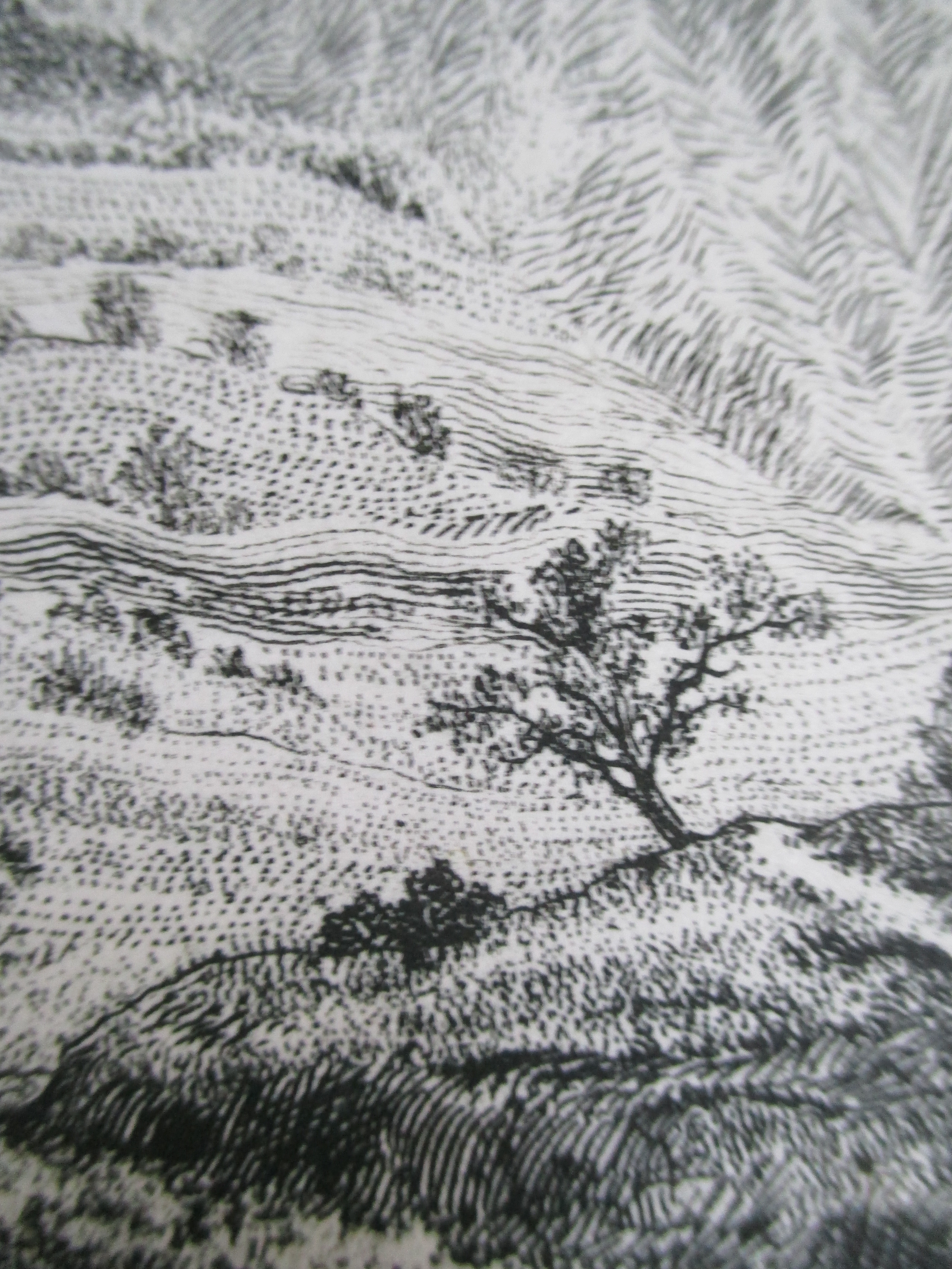 Arnold Gross - Ets landschap kopen? Bied vanaf 40!