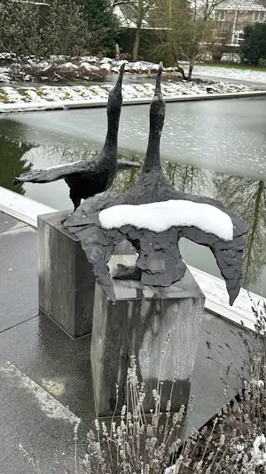 Jonneke Kodde - Contact kopen? Bied vanaf 9500!