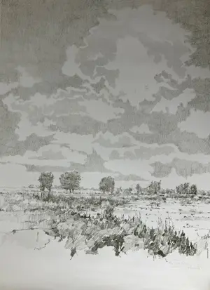 Ton Albers - Landschap bij Ouderkerk kaufen? Bieten Sie von 35!