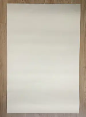 Shepard Fairey - Voting Rights kopen? Bied vanaf 25!