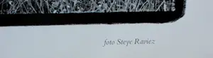 Steye Raviez - Foto: Jan Wolkers kopen? Bied vanaf 35!