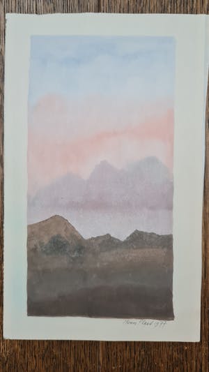Henri Plaat - 2 aquarellen kopen? Bied vanaf 75!
