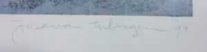 Jose van Tubergen - Aquatint, Poetic circles 2 - Ingelijst kopen? Bied vanaf 70!