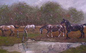 Kees Mol - Paarden in de wei kopen? Bied vanaf 60!